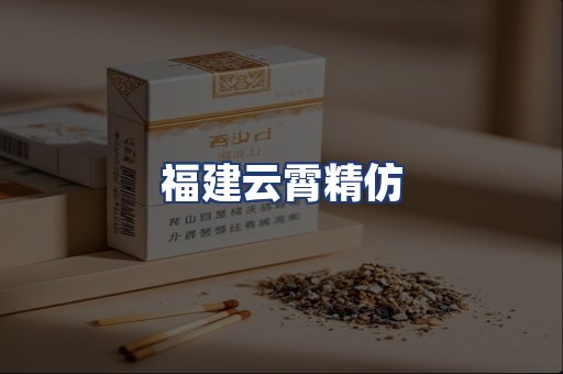 福建云霄精仿